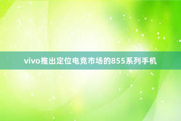 vivo推出定位电竞市场的855系列手机