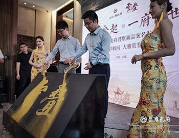 【凯时尊龙人生就是博·雍龙府】万象城旁，6米层高叠墅验资首日人气完爆世界杯开幕式。。 